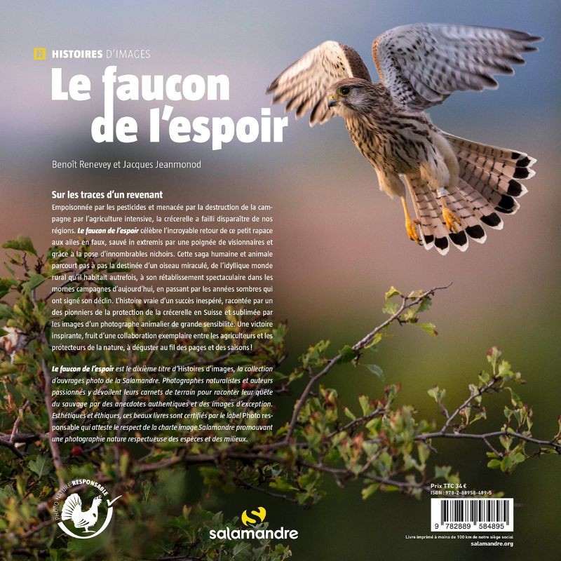 Le Faucon De L Espoir