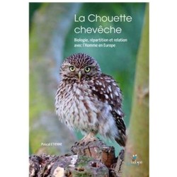 La Chouette chevêche