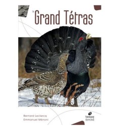 Le grand tétras
