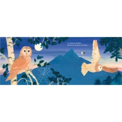 Chants d'oiseaux de la forêt - Mon petit livre sonore