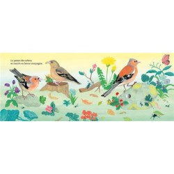 Chants d'oiseaux de la forêt - Mon petit livre sonore