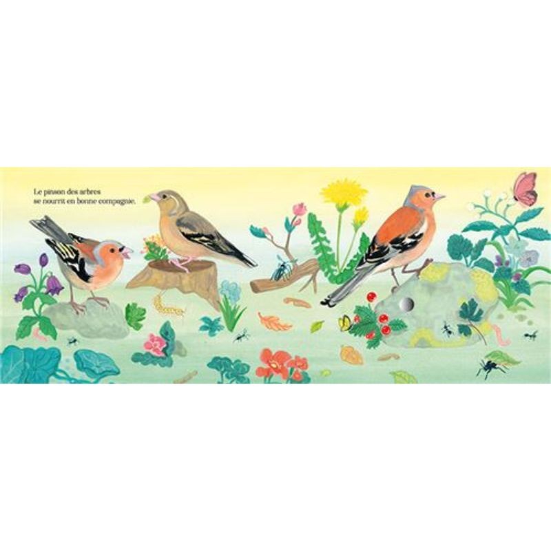 Chants d'oiseaux de la forêt - Mon petit livre sonore