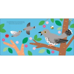 Les oiseaux - Raconte moi un doc