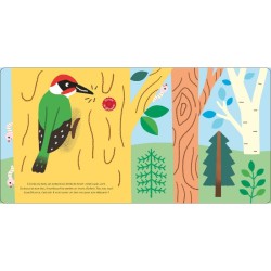 Les oiseaux - Raconte moi un doc