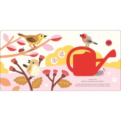 Les oiseaux - Raconte moi un doc