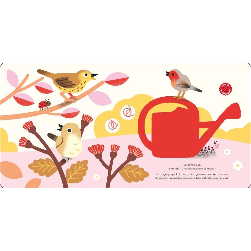 Les oiseaux - Raconte moi un doc