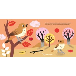 Les oiseaux - Raconte moi un doc