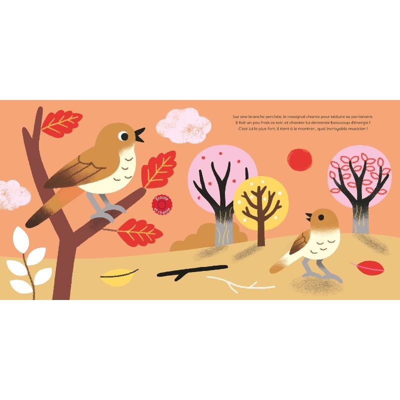 Les oiseaux - Raconte moi un doc