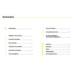 La Vie des papillons d'Europe