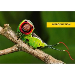 La Vie des papillons d'Europe