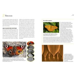 La Vie des papillons d'Europe