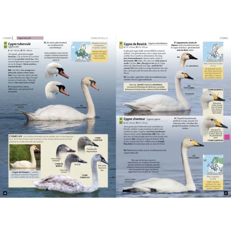 Guide des Oiseaux d'Europe - Manuel d'Identification Photographique