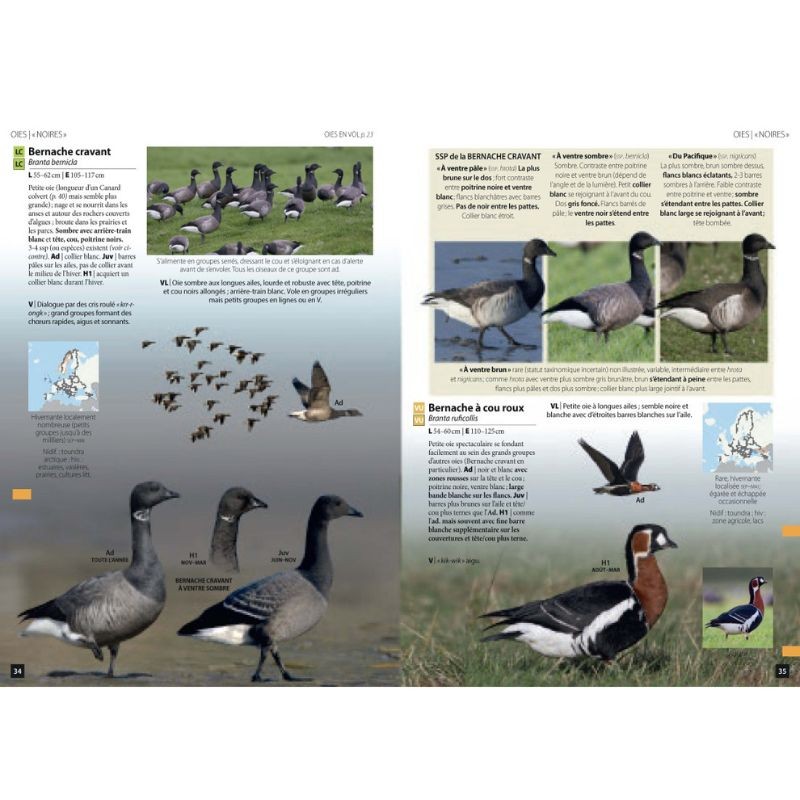 Guide des Oiseaux d'Europe - Manuel d'Identification Photographique