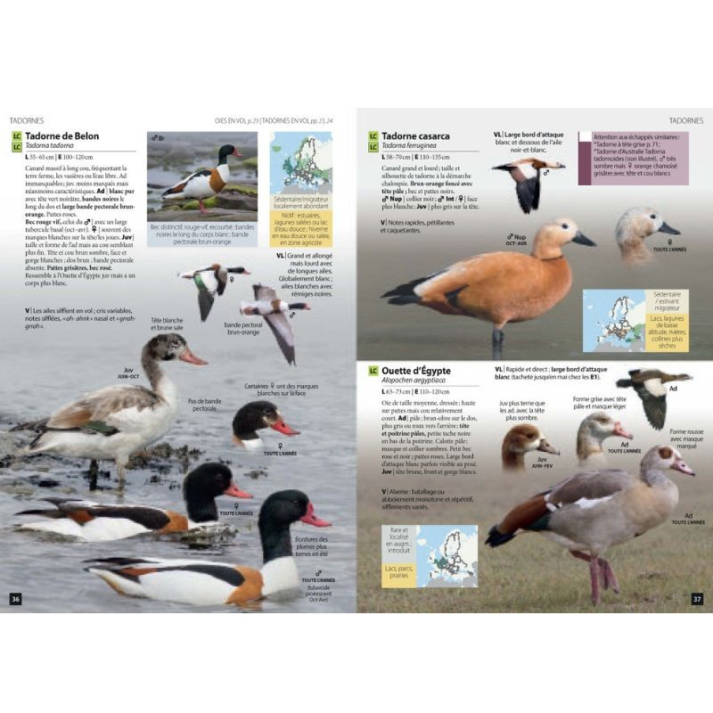 Guide des Oiseaux d'Europe - Manuel d'Identification Photographique