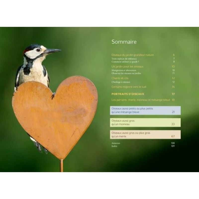 Reconnaître facilement les oiseaux du jardin - Photos grandeur nature