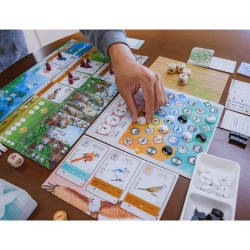 Wingspan – Extension Asie