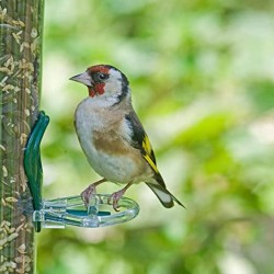 Anneaux de perche pour silo Ring-Pull™ - Lot de 4