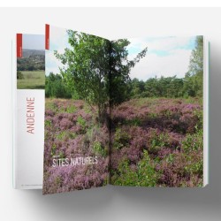 Balades et découvertes nature en région namuroise