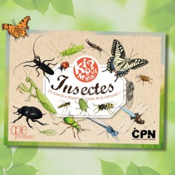 Kiquimank ? Insectes