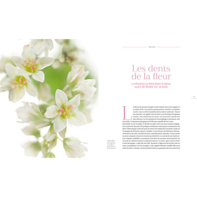 Histoires surnaturelles - Alliances, ruses et stratagèmes entre plantes et insectes