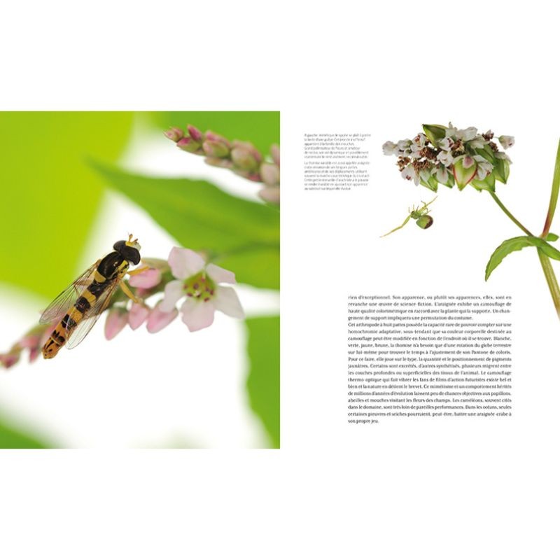 Histoires surnaturelles - Alliances, ruses et stratagèmes entre plantes et insectes