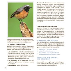 Attirer les oiseaux dans mon jardin
