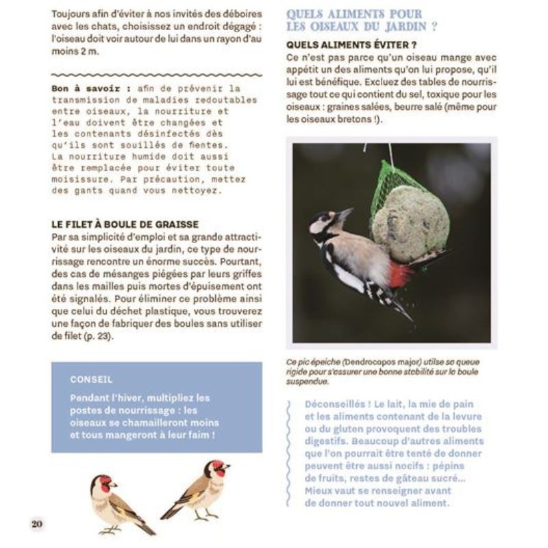 Recette facile pour fabriquer ses boules de graisse ! – Ligue Royale Belge  pour la Protection des Oiseaux