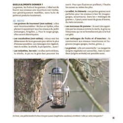 Attirer les oiseaux dans mon jardin