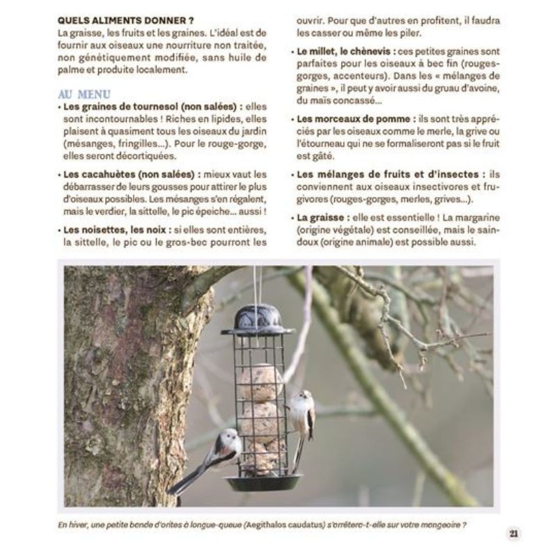 Attirer les oiseaux dans mon jardin
