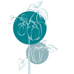 Le carnet de mon jardin - Pour tout noter année après année... façon bullet journal...