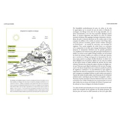 La forêt hyperconnectée