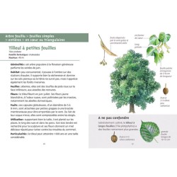 Arbres - Les petits livres de la nature Arbres - Les petits livres de la nature