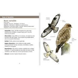 Rapaces - Les petits livres de la nature