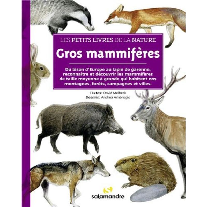 Gros mammifères - Les petits livres de la nature