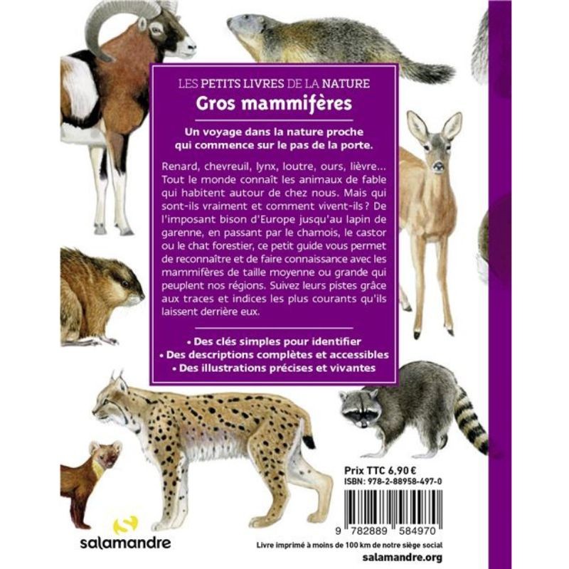 Gros mammifères - Les petits livres de la nature