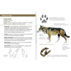 Gros mammifères - Les petits livres de la nature Gros mammifères - Les petits livres de la nature