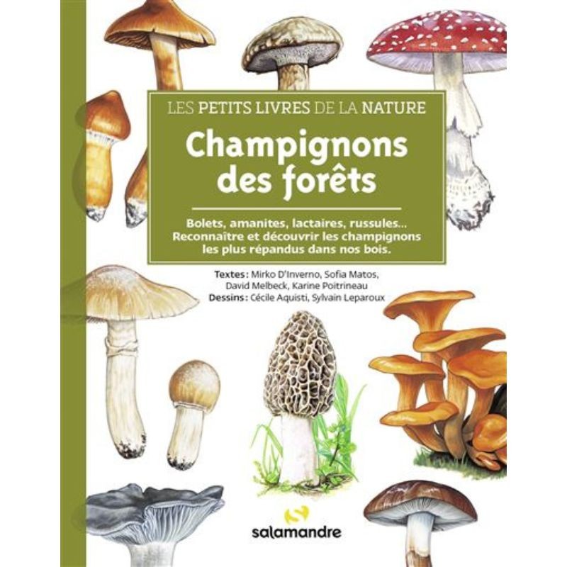 Champignons des forêts - Les petits livres de la nature