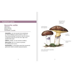 Champignons des forêts - Les petits livres de la nature