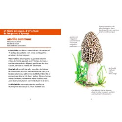 Champignons des forêts - Les petits livres de la nature