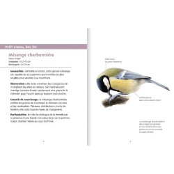 Oiseaux des mangeoires - Les petits livres de la nature Oiseaux des mangeoires - Les petits livres de la nature