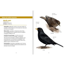 Oiseaux des mangeoires - Les petits livres de la nature Oiseaux des mangeoires - Les petits livres de la nature