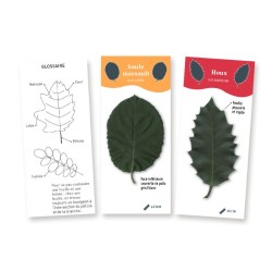 Eventail des arbres - Guide de poche des principaux arbres de Belgique Eventail des arbres - Guide de poche des principaux arbres de Belgique