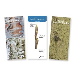 L’éventail des bourgeons et écorces - Guide de poche des arbres et arbustes feuillus en hiver