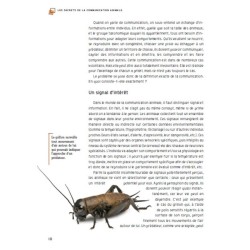 Les secrets de la communication animale