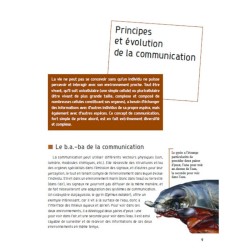 Les secrets de la communication animale