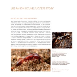 Formidables Fourmis ! Formidables Fourmis !