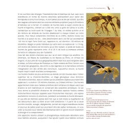 Formidables Fourmis ! Formidables Fourmis !