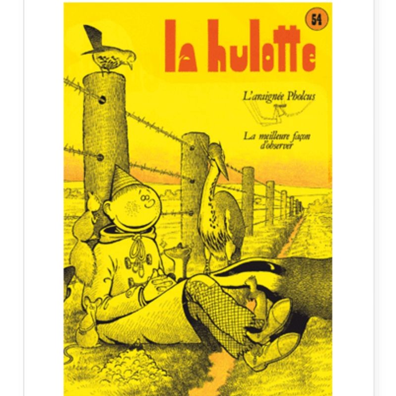 La Hulotte N°54 : Charlie Pholcus, l'Araignée vibrante [1] - Comment observer les animaux sauvages ?
