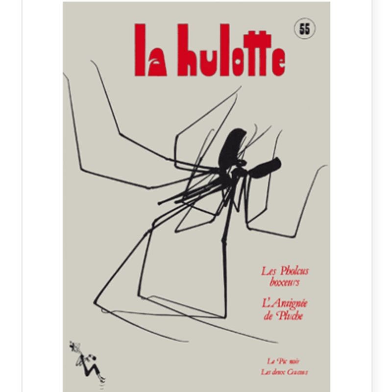 La Hulotte N°55 - Charlie Pholcus (2) - les Pholcus boxeurs - Coucou des bois, Coucou des près