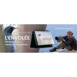 L'Envolée - Oiseaux d'ici, voisins et migrateurs L'Envolée - Oiseaux d'ici, voisins et migrateurs